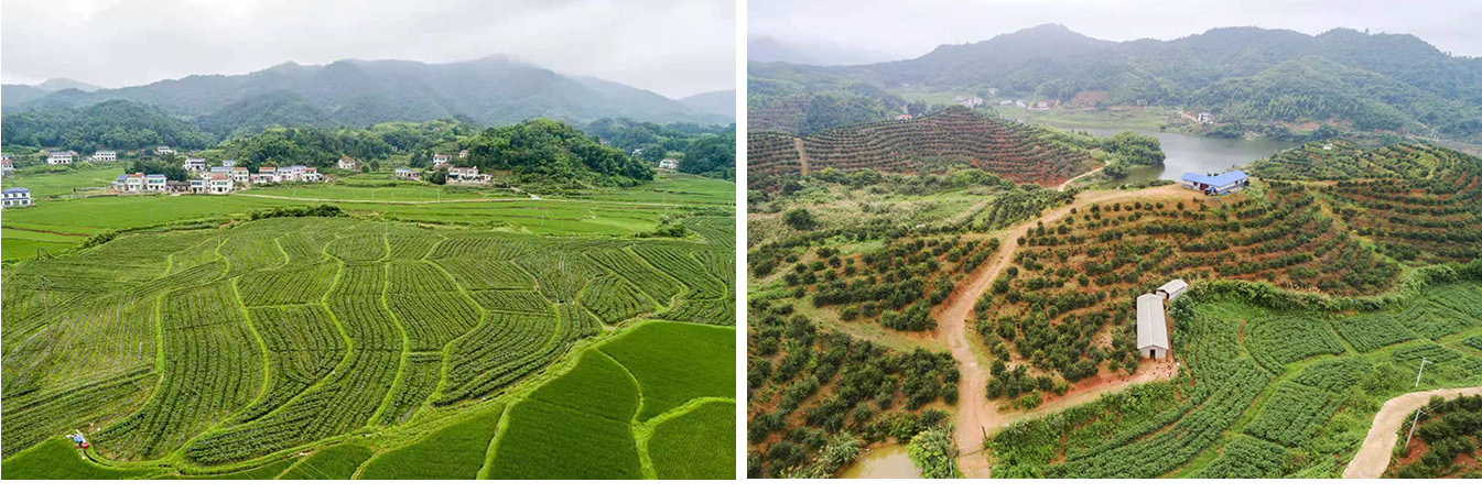 20250609138885.jpg 20250609138885.jpg